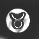 Taurus